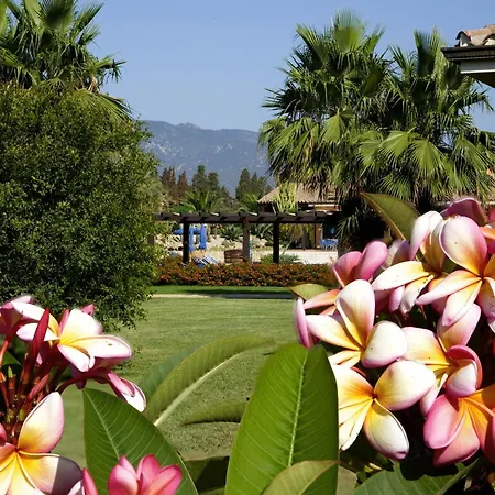 Lantana Resort Hotel&Apartments-2